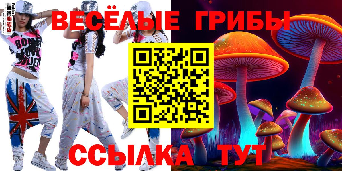 Псилоцибиновые грибы Psilocybe Сертолово