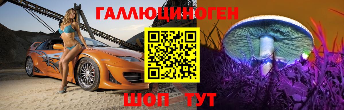 Псилоцибиновые грибы GOLDEN TEACHER  Вход с VPN  Псилоцибиновые грибы Magic Shrooms  Сертолово 